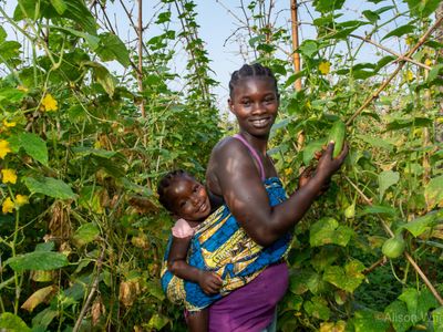 A farm of her own: The potential of locally-led agricultural cooperatives in Liberia - Header Image