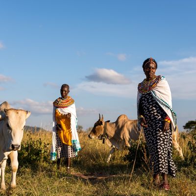 Emily, Sabina and Ntekekwa formed a special entrepreneurial group in Samburu, Kenya, to build their livelihoods, diversify incomes, battle climate change in the desert, and boosted their ability to care for their families.