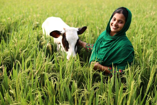 A woman farmer who is a supplier for BRAC Dairy poses next to her cow in a field in Bangladesh.