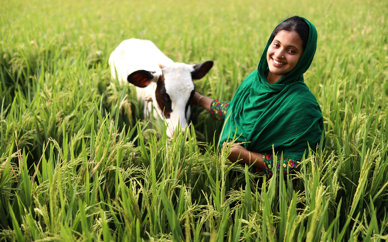 A woman farmer who is a supplier for BRAC Dairy poses next to her cow in a field in Bangladesh.