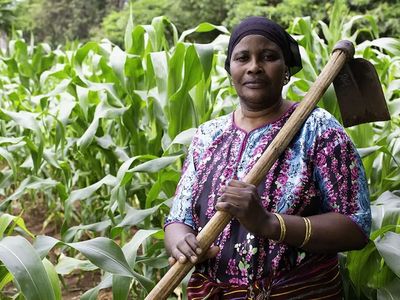 MF Tanzania-Agriculture-Loans-2