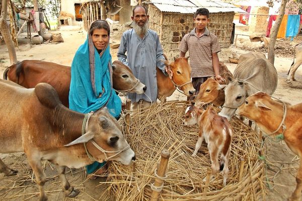 Farmers in control make a better world - Header Image