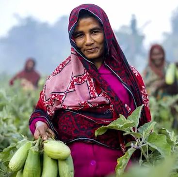 BRAC Seed and Agro photo