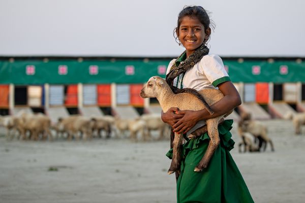A girl holds a goat in Bangladesh