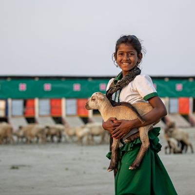 A girl holds a goat in Bangladesh