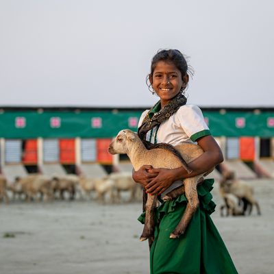 A girl holds a goat in Bangladesh