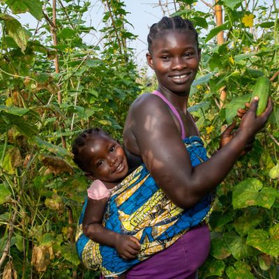 Patience holds her baby on her back while she picks cucmbers