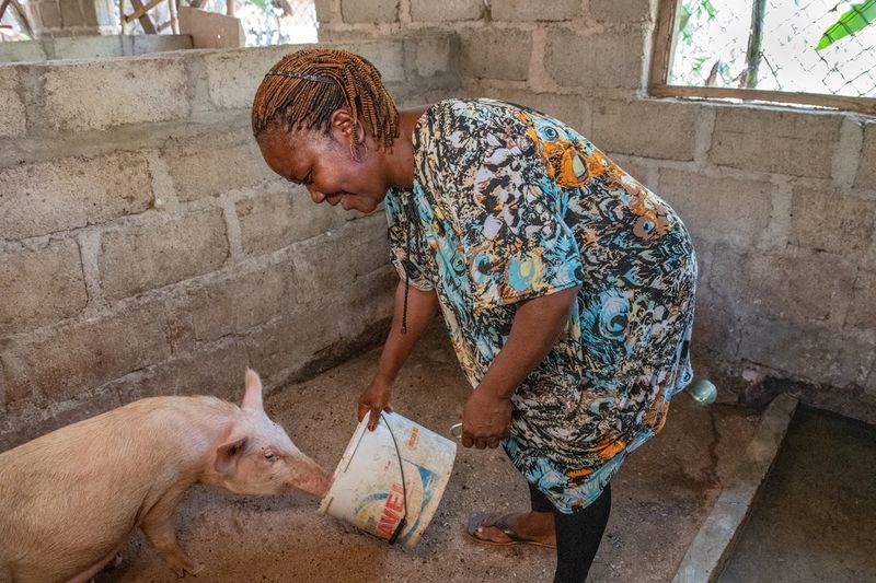 Angeline feeds her pigs.
