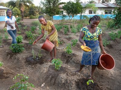 Rockefeller Foundation supports BRAC to empower smallholder farmers across Asia and Africa - Header Image