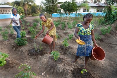 Rockefeller Foundation supports BRAC to empower smallholder farmers across Asia and Africa - Header Image