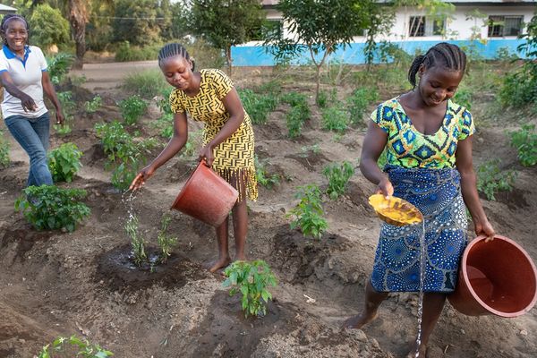 Rockefeller Foundation Supports BRAC to Empower Smallholder Farmers Across Asia and Africa - Header Image