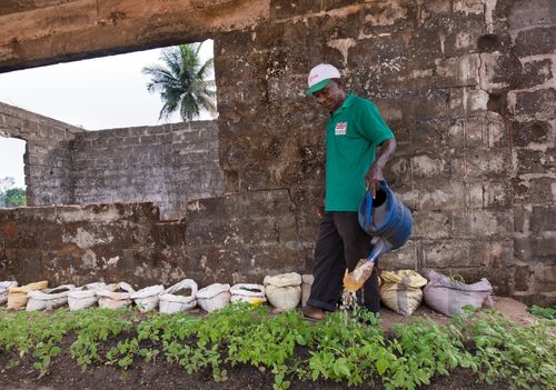 Liberia farmer Agriculture