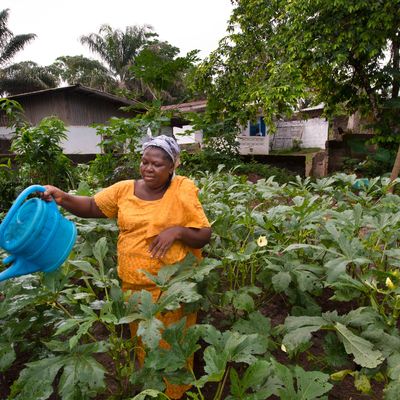 Liberia farmer woman Climate