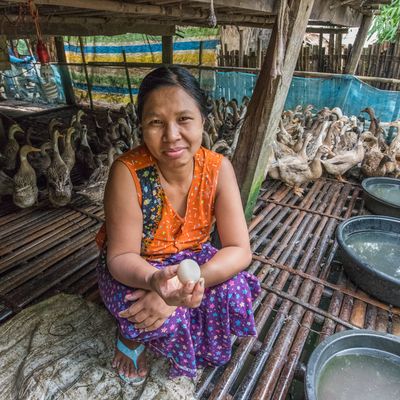 AWright_Myanmar_09786