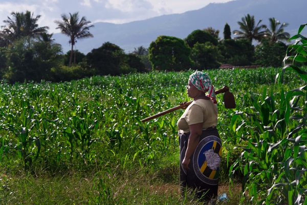 Agriculture-climate-Tanzania