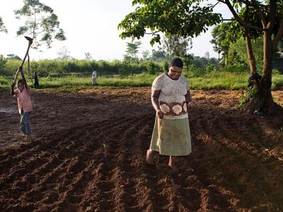 Uganda - Agriculture - Climate