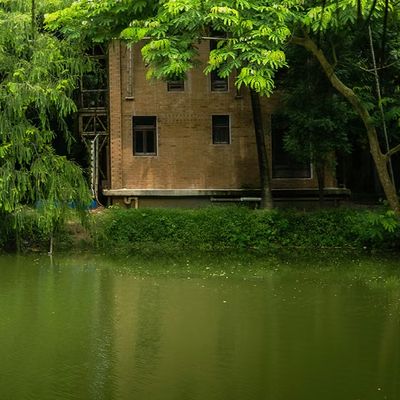 A house that can grow, float, and stays cool all year
