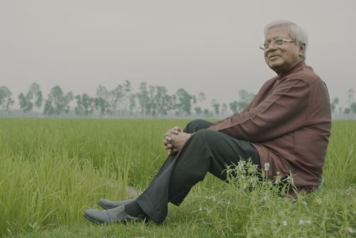 Abed-paddy-field