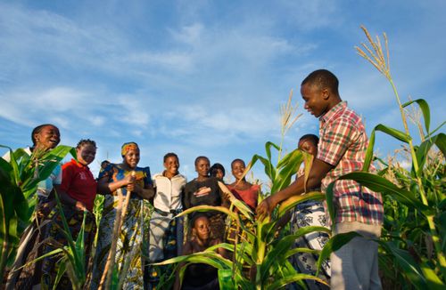 Agriculture web page 10