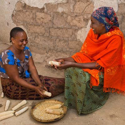 Agriculture web page 11