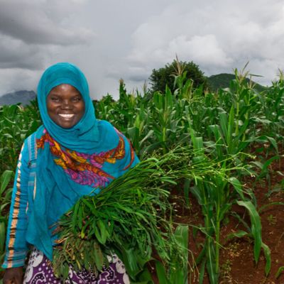 Agriculture web page 12