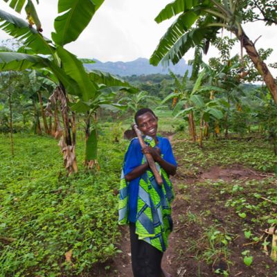 Agriculture web page 2