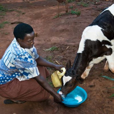 Agriculture web page 3