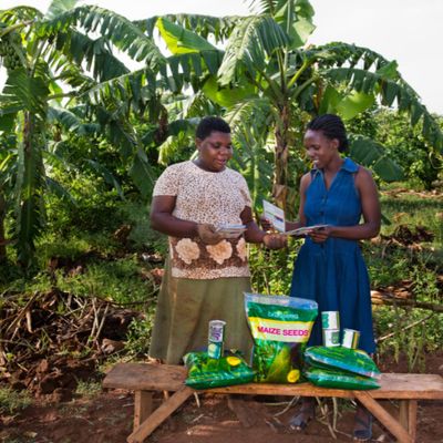 Agriculture web page 5