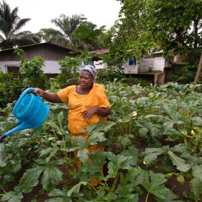 Agriculture web page 6