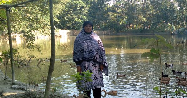 Aquaculture for nutrition: Innovations from North Bengal - Header Image