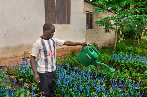 BI Agri Market Intervention-Tanzania