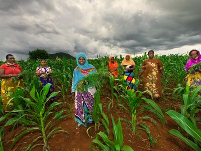 BI Agri Our strategic vision-Tanzania Farmers Group