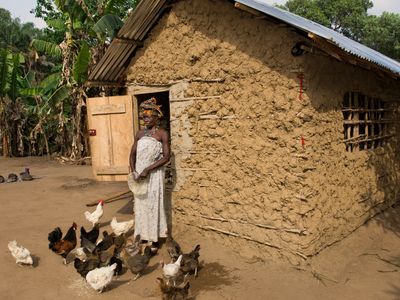 BI Agri Our strategic vision-Developing Markets-Sierra Leone Poultry