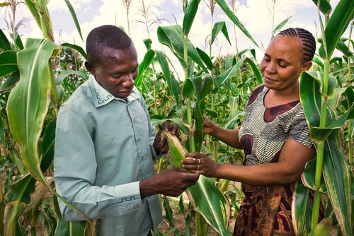 BI Agri Policy