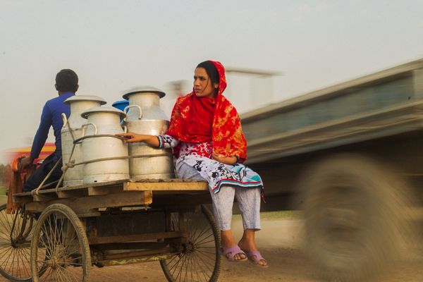 A man pedals a wooden van rickshaw in rural Bangladesh, carrying large metal milk containers while a woman in a red scarf and patterned dress sits on the side of the cart.