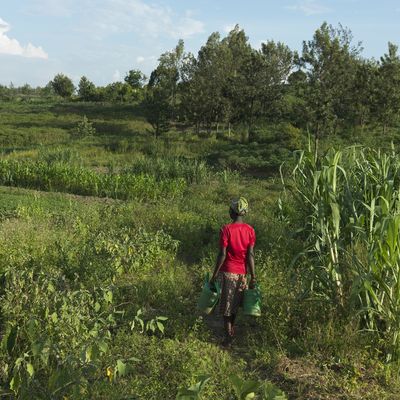 A woman stands in her field in Rwanda