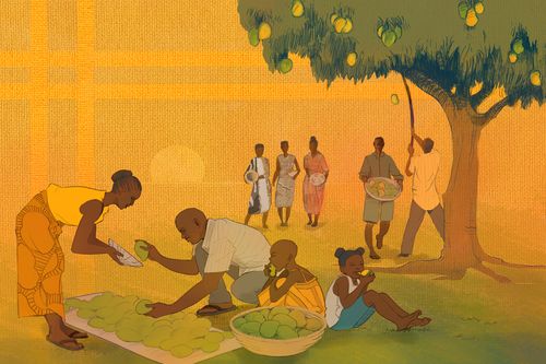 Artwork from Charity Atukunda of mango harvest season