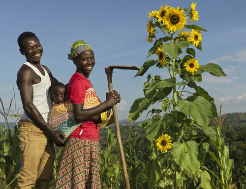 Photo for our work section in Rwanda - AIM, family of participant standing in front of sunflower