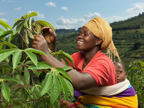 BRAC_RWANDA_2025_0166