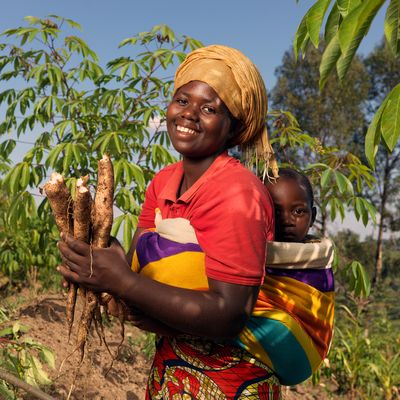 Angelique grows Cassava on her farmland near her home.
