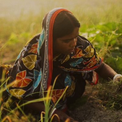 A woman tends to her crop