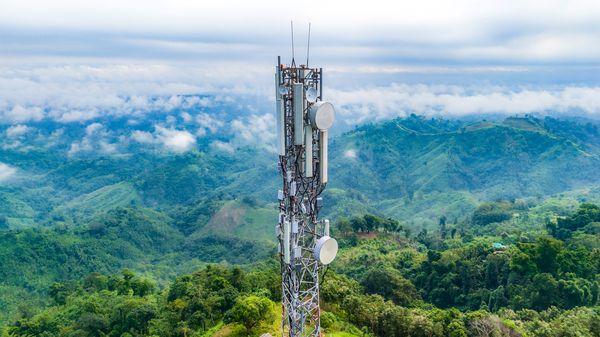 A cellular tower stands tall above the treeline with lush green forest behind