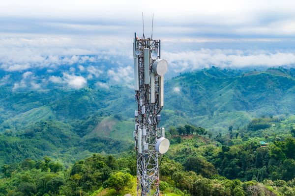 A cellular tower stands tall above the treeline with lush green forest behind