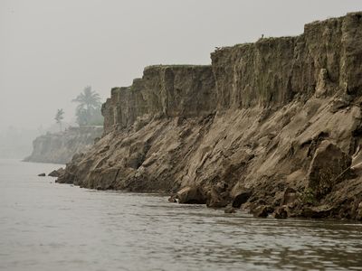 Amid fog, a steep riverbank shows signs of erosion