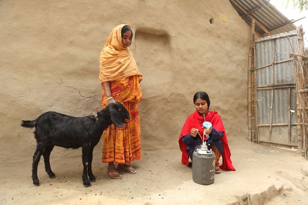 A woman with a red scarf crouches close to the container for her work and a woman with a goat looks on