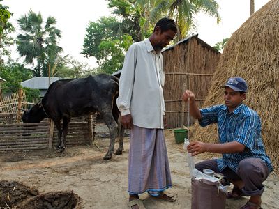 A man in a blue checkered top crouches close to the container for his work while a man looks on
