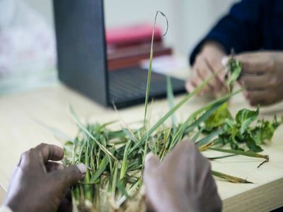 A person sits with vegetation they brought to a BRAC adaptation clinic