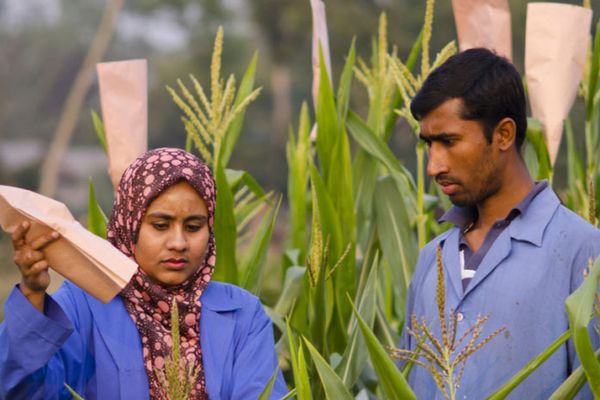 আমার ব্র্যাক জীবন – ‘ফ্রম দ্যা গ্রাউন্ড আপ’ - Header Image