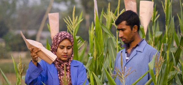 আমার ব্র্যাক জীবন – ‘ফ্রম দ্যা গ্রাউন্ড আপ’ - Header Image