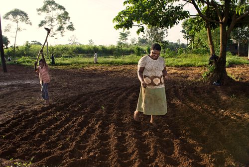 Brac Uganda Farmers